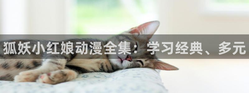 风车动漫 下载：狐妖小红娘动漫全集：学习经典、多元