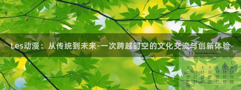 风车动漫在线看免费：Les动漫：从传统到未来-一次跨越时空的文化交流与创新体验