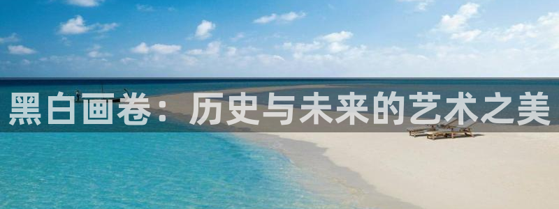 雾山五行风车动漫：黑白画卷：历史与未来的艺术之美