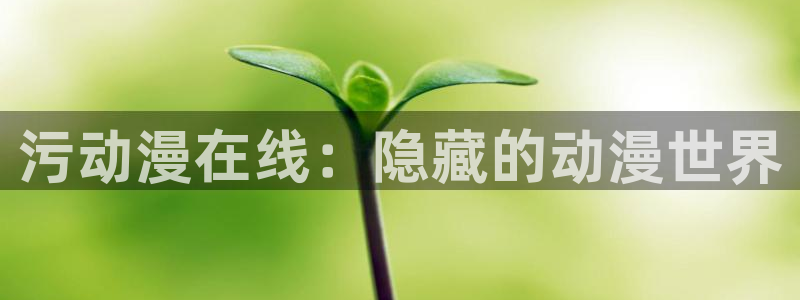 动漫风车动漫专注动漫的门户网站：污动漫在线：隐藏的动漫世界